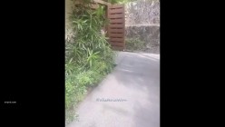 预览图14