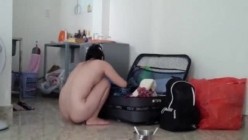 预览图4