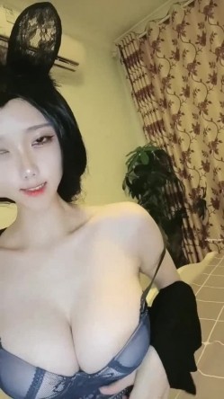 预览图11
