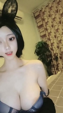 预览图13