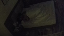 预览图5