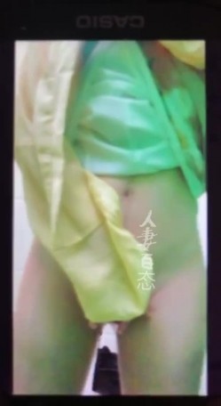 预览图2