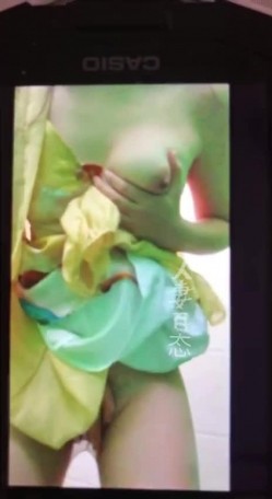 预览图4