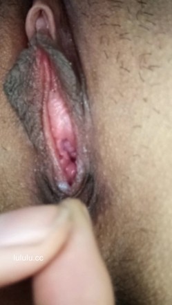 预览图12