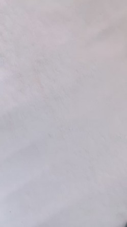 预览图6