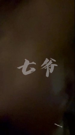 预览图13