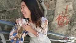 预览图8