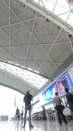 预览图14
