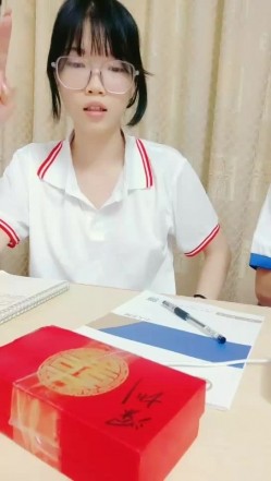 预览图4