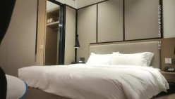 预览图5