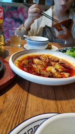 预览图14