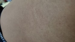 预览图4
