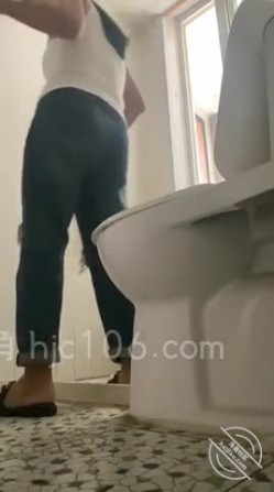 预览图4