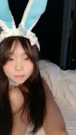 预览图12