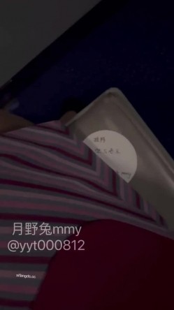 预览图4