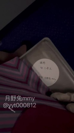 预览图5