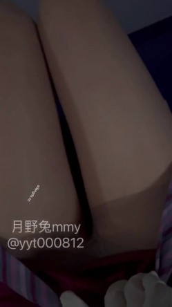 预览图8