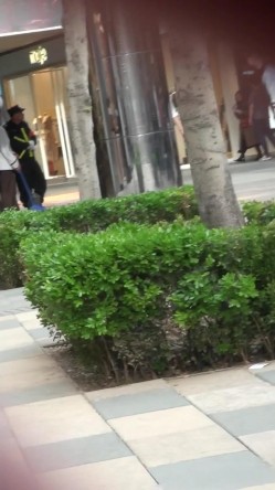 预览图4