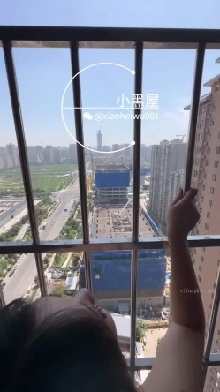 预览图5