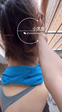 预览图13