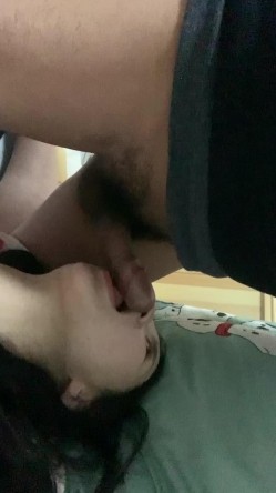 预览图4