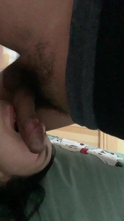 预览图6