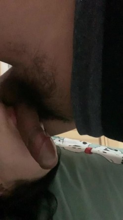 预览图7