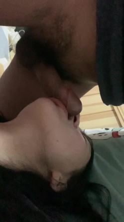 预览图12