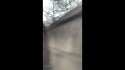 预览图16