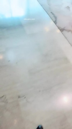 预览图4
