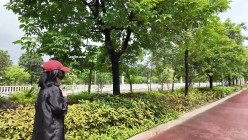 预览图7