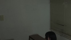 预览图16