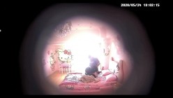 预览图14