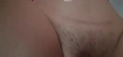 预览图15