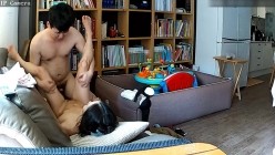预览图11