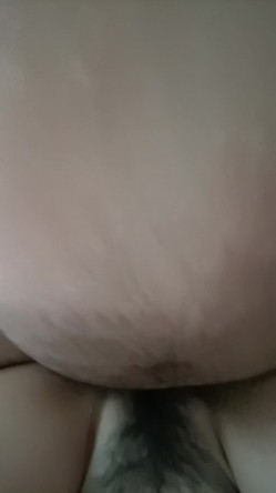 预览图15