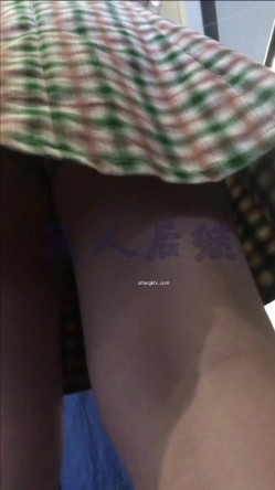 预览图12