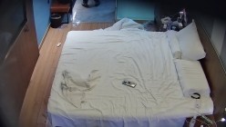 预览图8