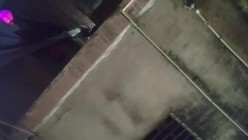 预览图7