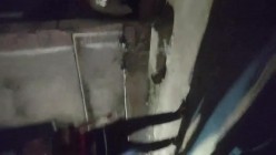 预览图9