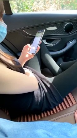 预览图4