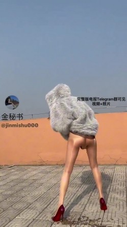 预览图5