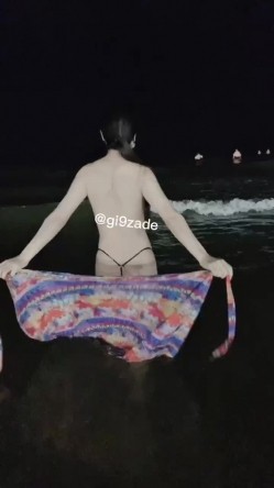 预览图3