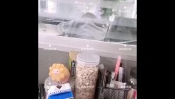 预览图10