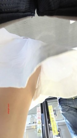 预览图6