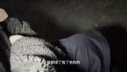 预览图5