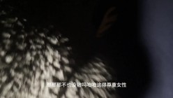 预览图16