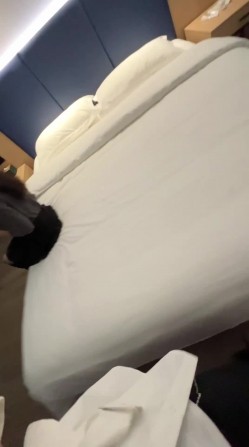 预览图8
