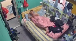 预览图6