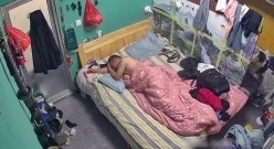 预览图8